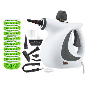 New Steam Disinfection Cleaner