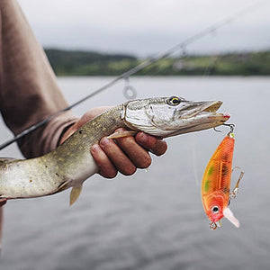 【Up To 50% Off】New 24 Days Christmas Countdown Fish Tackle Set