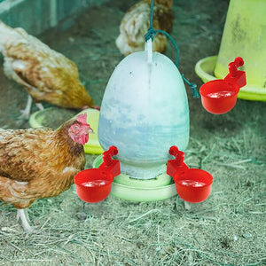 Automatic Poultry Drinker