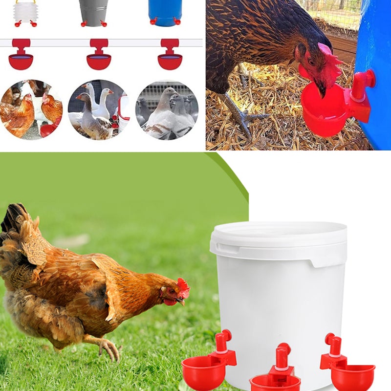 Automatic Poultry Drinker
